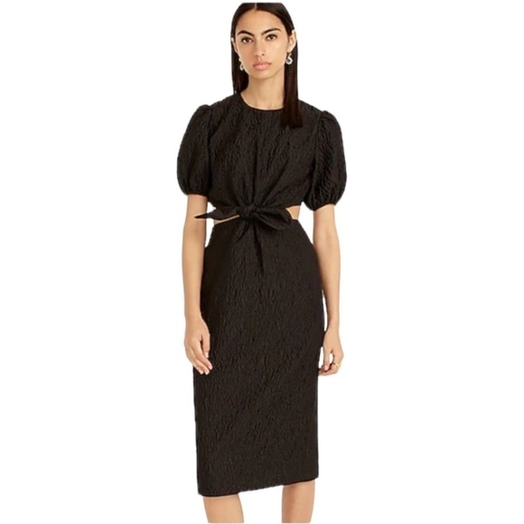 J. Crew Dresses & Skirts - J.Crew Cutout Textured Organza Midi Dress Size 6
